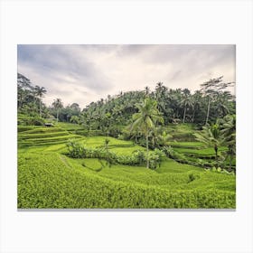 Bali Landscape Canvas Print