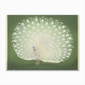 Peacock 5 Canvas Print