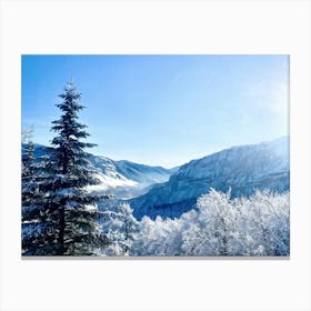 An Abstract Winter Landscape Under A Bright Sunny Sky Freshly Fallen Snow Draping White Iced Trees (2) Canvas Print