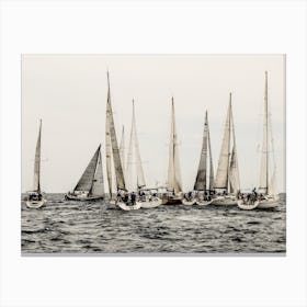 Sailboat Regatta Canvas Print