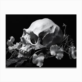 Skull And Flowers 2 Canvas Print