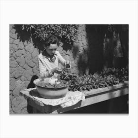 Untitled Photo, Possibly Related To Spanish Boy Stringing Chili Peppers For Drying, Concho, Arizona By Russell Lee Canvas Print