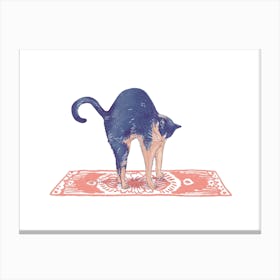 Cat Stretch - Animal Yoga Canvas Print