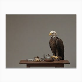 Bald Eagle Canvas Print