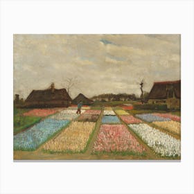 Tulip Fields 2 Canvas Print