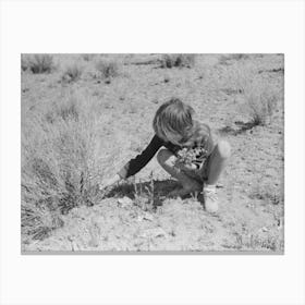 Josie Caudill Gathering Wildflowers, Pie Town, New Mexico By Russell Lee Canvas Print