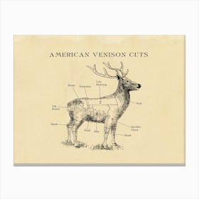 American Venison Butcher Cuts Chart Canvas Print