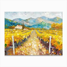 Vineyard Road 4 Canvas Print