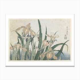 Iris Flowers And Grasshopper Canvas Print