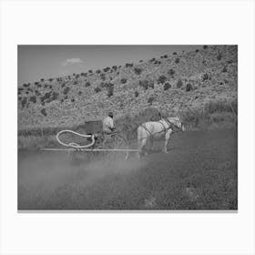 Untitled Photo, Possibly Related To The Duster Of The Allen Valley Duster Association Dusting Alfalfa, Sanpete Canvas Print