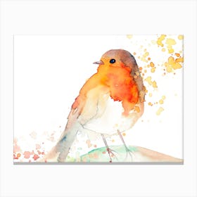 Robin Bird Canvas Print