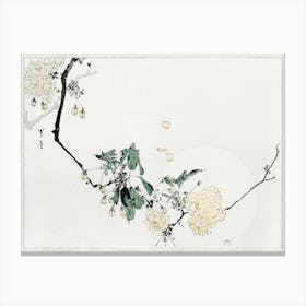 Cherry Blossom, Illustration From Bijutsu Sekai (1893 1896), Watanabe Seitei Canvas Print