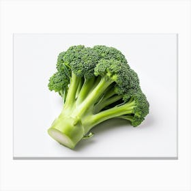 Broccoli On White Background 3 Canvas Print