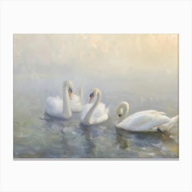 Swans In The Mist Canvas Print