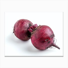 Beets 9 Canvas Print