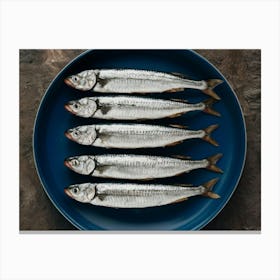 Sardines On A Plate 1 Canvas Print