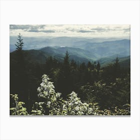 Great Smoky Mountain Wildflower Hike Canvas Print