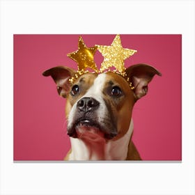 Boxer Dog With Star Crown Canvas Print