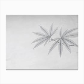 Marijuhana Cannabis Leaf Minimal Drawing Canvas Print