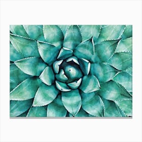 Heart Of The Succulent Canvas Print