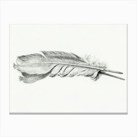 Feather, Jean Bernard Canvas Print