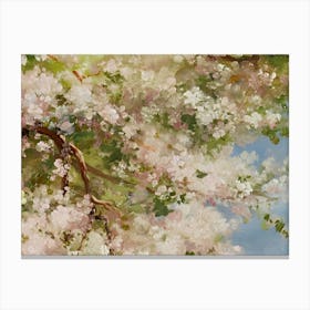 Cherry Blossoms 3 Canvas Print