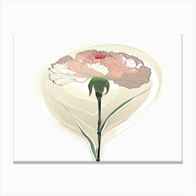 Carnation 16 Canvas Print