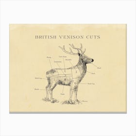 British Venison Butcher Cuts Chart Canvas Print