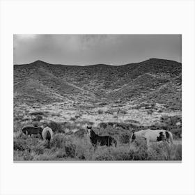 Horses In The Mountains Canvas Print