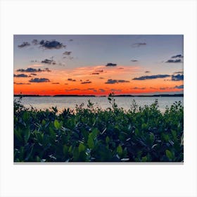 Sunset And Mangroves At Islamorada (Florida Keys Series) Canvas Print