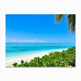 Relax Ocean Plant Idylli Holiday Coastline Beautiful Calm Shore Blue Paradise Sunlight N (20) Canvas Print