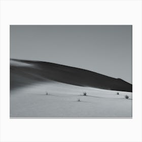 The Shadows Of The Dune Canvas Print