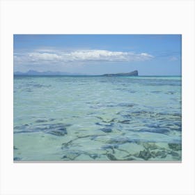 Coral Reef In Mauritius Canvas Print