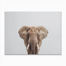 Elephant In The Grass Canvas Print