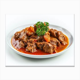 Beef Stew 1 Canvas Print