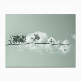 Life. Roses on a branch with thorns and a cloud. minimalism Canvas Print
