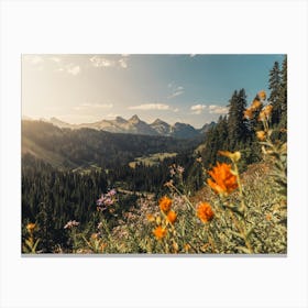 Wildflowers In The Mountains - Mount Rainier National Park Canvas Print