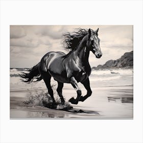 A Horse Oil Painting In Flamenco Beach, Puerto Rico, Landscape 2 Canvas Print