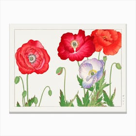 Vintage Poppy Flower, Tanigami Kônan Canvas Print