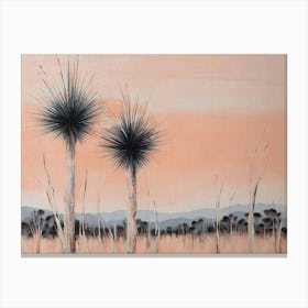 Australian native grasstrees Canvas Print