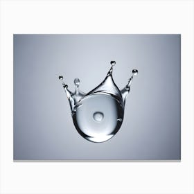 Water Drop Stock Videos & Royalty-Free Footage Canvas Print