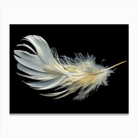 White Feather Canvas Print