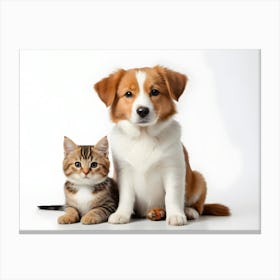 Dog And Cat 12 Canvas Print