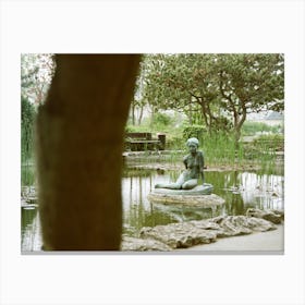 Mermaid In A Pond Canvas Print