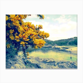 Yellow Flowers By The Water 1 Canvas Print