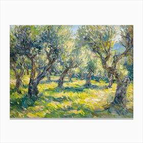 Olive Grove 7 Canvas Print