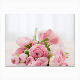 Pink Carnations Canvas Print