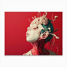 Human Head With Brain on Red Canvas Print