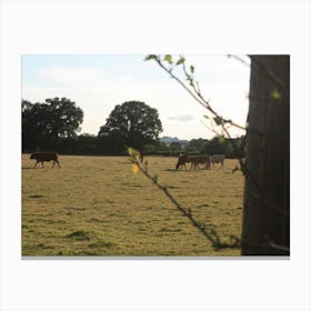 Feeding Time Canvas Print