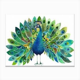 Peacock 17 Canvas Print